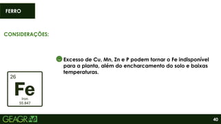 40
CONSIDERAÇÕES:
FERRO
Excesso de Cu, Mn, Zn e P podem tornar o Fe indisponível
para a planta, além do encharcamento do solo e baixas
temperaturas.
 