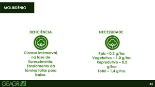 46
DEFICIÊNCIA
Clorose internerval,
na fase de
florescimento;
Enrolamento da
lâmina foliar para
baixo.
Raiz – 0,2 g/ha;
Vegetativo – 1,0 g/ha;
Reprodutivo – 0,2
g/ha;
Total – 1,4 g/ha.
NECESSIDADE
MOLIBDÊNIO
 