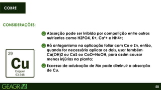 50
CONSIDERAÇÕES:
Absorção pode ser inibida por competição entre outros
nutrientes como H2PO4, K+, Ca²+ e NH4+;
Há antagonismo na aplicação foliar com Cu e Zn, então,
quando for necessário aplicar os dois, usar também
Ca(OH)2 ou CaS ou CaO+NaOH, para assim causar
menos injúrias na planta;
Excesso de adubação de Mo pode diminuir a absorção
de Cu.
COBRE
 