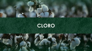 56
ZINCO
CLORO
 