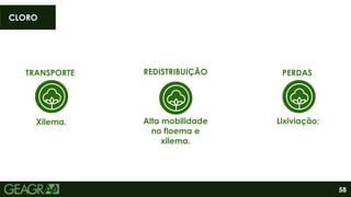 58
TRANSPORTE
Xilema.
REDISTRIBUIÇÃO
Alta mobilidade
no floema e
xilema.
Lixiviação;
PERDAS
CLORO
 