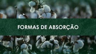 6
ZINCO
FORMAS DE ABSORÇÃO
 
