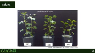 65
SILÍCIO
Fonte: Jonas Pereira de Sousa Júnior, 2018.
 