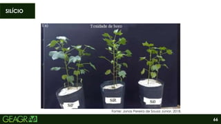66
SILÍCIO
Fonte: Jonas Pereira de Sousa Júnior, 2018.
 