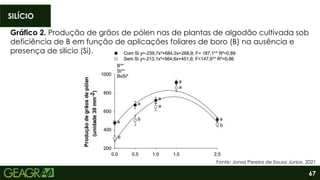 67
SILÍCIO
Fonte: Jonas Pereira de Sousa Júnior, 2021
Gráfico 2. Produção de grãos de pólen nas de plantas de algodão cultivada sob
deficiência de B em função de aplicações foliares de boro (B) na ausência e
presença de silício (Si).
 
