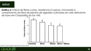 68
SILÍCIO
Fonte: Jonas Pereira de Sousa Júnior, 2021.
Gráfico 3. Índice de fibras curtas, resistência à ruptura, micronaire e
comprimento da fibra de plantas de algodão cultivadas em solo deficiente
de boro em Chapadão do Sul –MS.
 