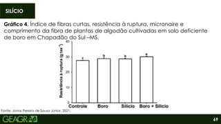 69
SILÍCIO
Fonte: Jonas Pereira de Sousa Júnior, 2021.
Gráfico 4. Índice de fibras curtas, resistência à ruptura, micronaire e
comprimento da fibra de plantas de algodão cultivadas em solo deficiente
de boro em Chapadão do Sul –MS.
 