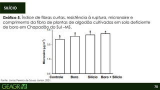 70
SILÍCIO
Fonte: Jonas Pereira de Sousa Júnior, 2021.
Gráfico 5. Índice de fibras curtas, resistência à ruptura, micronaire e
comprimento da fibra de plantas de algodão cultivadas em solo deficiente
de boro em Chapadão do Sul –MS.
 
