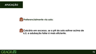 73
APLICAÇÃO
Preferencialmente via solo;
Calcário em excesso, se o pH do solo estiver acima de
6,5, a adubação foliar é mais eficiente.
 