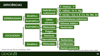 78
DEFICIÊNCIAS
Fonte: Circular Técnico Embrapa, 2013.
GENERALIZADA
Assimétrico
Simétrico
Assimétrico
LOCALIZADA
Simétrico
Deficiência
nutricional
Clima
adverso
Fitotoxidez
Pragas
Doenças
Nematóides
Fitotoxidez
P. Inteiras - P
F. velhas – N, K, Mg
F. novas – Ca, S, B, Cu, Fe, Mn, Zn
Temperaturas extremas
Estresse hídrico
Metais pesados
Fertilizantes
Herbicidas
Herbicidas
Fonte: elaborado por Aline Castro, 2024.
 