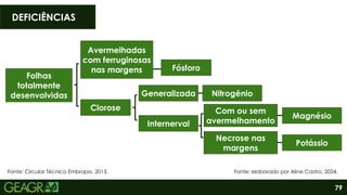 79
DEFICIÊNCIAS
Fonte: Circular Técnico Embrapa, 2013.
Folhas
totalmente
desenvolvidas
Avermelhadas
com ferruginosas
nas margens
Clorose
Fósforo
Generalizada
Internerval
Nitrogênio
Com ou sem
avermelhamento
Necrose nas
margens
Potássio
Magnésio
Fonte: elaborado por Aline Castro, 2024.
 