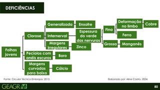 80
DEFICIÊNCIAS
Fonte: Circular Técnico Embrapa, 2013.
Folhas
jovens
Clorose
Pecíolos com
anéis escuros
Margens
curvadas
para baixo
Espessura
do verde
das nervuras
Generalizada
Internerval
Margens
irregulares
Boro
Cálcio
Enxofre
Zinco
Grossa
Fina
Deformação
no limbo
Cobre
Ferro
Manganês
Elaborado por: Aline Castro, 2024.
 