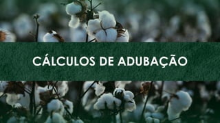 81
ZINCO
CÁLCULOS DE ADUBAÇÃO
 