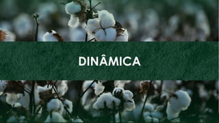 86
ZINCO
DINÂMICA
 