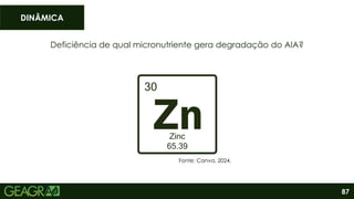 87
Deficiência de qual micronutriente gera degradação do AIA?
DINÂMICA
Fonte: Canva, 2024.
 