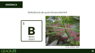 88
Deficiência de qual micronutriente?
DINÂMICA
Fonte: BORAX, 2024.
 