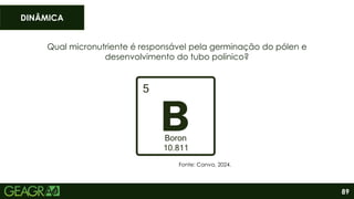 89
Qual micronutriente é responsável pela germinação do pólen e
desenvolvimento do tubo polínico?
DINÂMICA
Fonte: Canva, 2024.
 