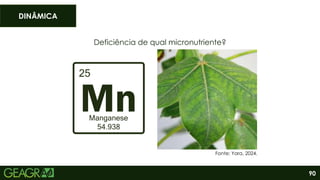 90
Deficiência de qual micronutriente?
DINÂMICA
Fonte: Yara, 2024.
 