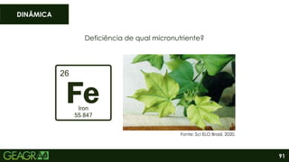 91
Deficiência de qual micronutriente?
DINÂMICA
Fonte: Sci ELO Brasil, 2020.
 