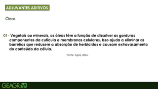 28
Óleos
ADJUVANTES ADITIVOS
Vegetais ou minerais, os óleos têm a função de dissolver as gorduras
componentes da cutícula e membranas celulares. Isso ajuda a eliminar as
barreiras que reduzem a absorção de herbicidas e causam extravasamento
do conteúdo da célula.
01-
Fonte: Agriq, 2024.
 