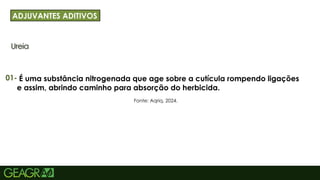 30
Ureia
ADJUVANTES ADITIVOS
É uma substância nitrogenada que age sobre a cutícula rompendo ligações
e assim, abrindo caminho para absorção do herbicida.
01-
Fonte: Aqriq, 2024.
 