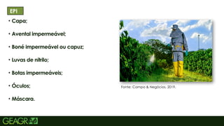 4
• Capa;
• Avental impermeável;
• Boné impermeável ou capuz;
• Luvas de nitrilo;
• Botas impermeáveis;
• Óculos;
• Máscara.
TÍTULO PRINCIPAL: MAIÚSCULO, FONTE CENTURY
EPI
Fonte: Campo & Negócios, 2019.
 