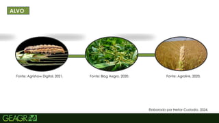 6
TÍTULO PRINCIPAL: MAIÚSCULO, FONTE CENTURY
GOTHIC TAMANHO: 40 TÓPICOS: MINÚSCULO,
FONTE CENTURY GOTHIC TAMANHO: 34
ALVO
Fonte: Agrishow Digital, 2021. Fonte: Blog Aegro, 2020. Fonte: Agrolink, 2023.
Elaborado por Heitor Custodio, 2024.
 