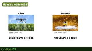 9
TÍTULO PRINCIPAL: MAIÚSCULO, FONTE CENTURY
GOTHIC TAMANHO: 40 TÓPICOS: MINÚSCULO,
FONTE CENTURY GOTHIC TAMANHO: 34
Tipos de Aplicação
Aérea Terrestre
Fonte: Canva, 2024. Fonte: Mfrural, 2024.
Baixo volume de calda Alto volume de calda
 