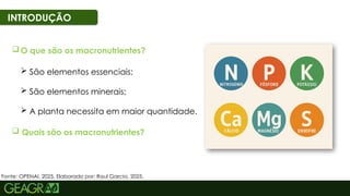 11
INTRODUÇÃO
 O que são os macronutrientes?
 Quais são os macronutrientes?
 São elementos essenciais;
 São elementos minerais;
 A planta necessita em maior quantidade.
Fonte: OPENAI, 2025. Elaborado por: Raul Garcia, 2025.
 