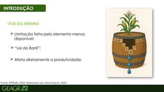 12
INTRODUÇÃO
 LEI DO MÍNIMO
 “Lei do Barril”;
 Limitação feita pelo elemento menos
disponível;
 Afeta diretamente a produtividade.
Fonte: OPENAI, 2025. Elaborado por: Raul Garcia, 2025.
 