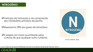 13
NITROGÊNIO
 Representa 78% dos gases da atmosfera;
 Participa da formação e da composição
dos metabólitos primários da planta;
 É exigido em maior quantidade pelas
culturas do que qualquer outro nutriente.
Fonte: Ciência do Solo Fertilidade do Solo e Nutrição Mineral de Plantas, 2016.
Fonte: OPENAI, 2025.
 