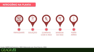 16
NITROGÊNIO NA PLANTA
Fonte: GEPES Soil Solutions, 2023. Elaborado por: Raul Garcia, 2025.
FERTILIZANTE SOLUÇÃO CONTATO
COM A RAIZ
INTERIOR
DA RAIZ
PARTE
AÉREA
 