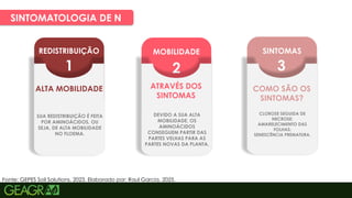 17
SINTOMATOLOGIA DE N
Fonte: GEPES Soil Solutions, 2023. Elaborado por: Raul Garcia, 2025.
REDISTRIBUIÇÃO
1
ALTA MOBILIDADE
SUA REDISTRIBUIÇÃO É FEITA
POR AMINOÁCIDOS, OU
SEJA, DE ALTA MOBILIDADE
NO FLOEMA.
MOBILIDADE
2
ATRAVÉS DOS
SINTOMAS
DEVIDO A SUA ALTA
MOBILIDADE, OS
AMINOÁCIDOS
CONSEGUEM PARTIR DAS
PARTES VELHAS PARA AS
PARTES NOVAS DA PLANTA.
SINTOMAS
3
COMO SÃO OS
SINTOMAS?
CLOROSE SEGUIDA DE
NECROSE;
AMARELECIMENTO DAS
FOLHAS;
SENESCÊNCIA PREMATURA.
 