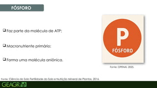 21
FÓSFORO
 Macronutriente primário;
 Faz parte da molécula de ATP;
 Forma uma molécula aniônica.
Fonte: Ciência do Solo Fertilidade do Solo e Nutrição Mineral de Plantas, 2016.
Fonte: OPENAI, 2025.
 