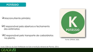 29
POTÁSSIO
 É responsável pela abertura e fechamento
dos estômatos;
 Macronutriente primário;
 É responsável pelo transporte de carboidratos
na planta.
Fonte: Ciência do Solo Fertilidade do Solo e Nutrição Mineral de Plantas, 2016.
Fonte: OPENAI, 2025.
 