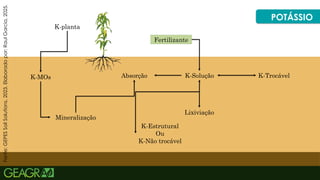31
Fertilizante
K-Solução K-Trocável
Lixiviação
K-Estrutural
Ou
K-Não trocável
Absorção
Mineralização
K-MOs
K-planta
POTÁSSIO
Fonte:
GEPES
Soil
Solutions,
2023.
Elaborado
por:
Raul
Garcia,
2025.
 