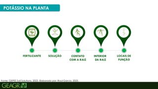 32
POTÁSSIO NA PLANTA
Fonte: GEPES Soil Solutions, 2023. Elaborado por: Raul Garcia, 2025.
FERTILIZANTE SOLUÇÃO CONTATO
COM A RAIZ
INTERIOR
DA RAIZ
LOCAIS DE
FUNÇÃO
 