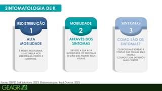 33
MOBILIDADE
2
SINTOMAS
3
REDISTRIBUIÇÃO
1
SINTOMATOLOGIA DE K
ALTA
MOBILIDADE
É MOVEL NO FLOEMA;
SE ACUMULA NOS
MERISTEMAS, FRUTOS E
SEMENTES.
ATRAVÉS DOS
SINTOMAS
DEVIDO A SUA ALTA
MOBILIDADE, OS SINTOMAS
SE DÃO DAS FOLHAS MAIS
VELHAS.
COMO SÃO OS
SINTOMAS?
CLOROSE NAS BORDAS E
PONTAS DAS FOLHAS MAIS
VELHAS;
COLMOS COM ENTRENÓS
MAIS CURTOS.
Fonte: GEPES Soil Solutions, 2023. Elaborado por: Raul Garcia, 2025.
 
