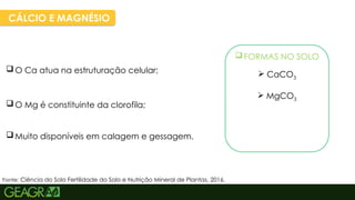 37
CÁLCIO E MAGNÉSIO
 O Mg é constituinte da clorofila;
 O Ca atua na estruturação celular;
 Muito disponíveis em calagem e gessagem.
 FORMAS NO SOLO
 CaCO3
 MgCO3
Fonte: Ciência do Solo Fertilidade do Solo e Nutrição Mineral de Plantas, 2016.
 