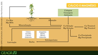 38
CÁLCIO E MAGNÉSIO
Absorção
Calagem
Gessagem
Adubação
Ca-Solução
Mg-Solução
Ca-Trocável
Mg-Trocável
Ca-Precipitado
Mg-Precipitado
Intemperismo
Rocha
Lixiviação
Mineralização
Ca-Mos
Mg-MOs
Fonte:
GEPES
Soil
Solutions,
2023.
Elaborado
por:
Raul
Garcia,
2025.
Cálcio
Anortita
Calcita
Dolomita
Magnésio
Biotita
Olivina
Dolomita
 