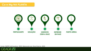 39
Ca e Mg NA PLANTA
Fonte: GEPES Soil Solutions, 2023. Elaborado por: Raul Garcia, 2025.
FERTILIZANTE SOLUÇÃO CONTATO
COM A RAIZ
INTERIOR
DA RAIZ
PARTE AÉREA
 