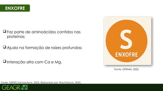 44
ENXOFRE
Fonte: GEPES Soil Solutions, 2023. Elaborado por: Raul Garcia, 2025.
 Ajuda na formação de raízes profundas;
 Faz parte de aminoácidos contidos nas
proteínas;
 Interação alta com Ca e Mg.
Fonte: OPENAI, 2025.
 