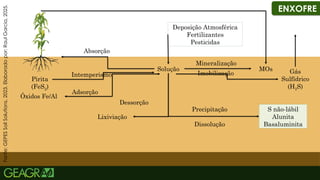 46
ENXOFRE
Solução
Deposição Atmosférica
Fertilizantes
Pesticidas
Mineralização
Imobilização
MOs
S não-lábil
Alunita
Basaluminita
Precipitação
Dissolução
Lixiviação
Dessorção
Intemperismo
Adsorção
Pirita
(FeS2)
Óxidos Fe/Al
Absorção
Fonte:
GEPES
Soil
Solutions,
2023.
Elaborado
por:
Raul
Garcia,
2025.
Gás
Sulfídrico
(H2S)
 