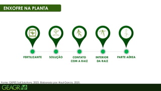 47
ENXOFRE NA PLANTA
Fonte: GEPES Soil Solutions, 2023. Elaborado por: Raul Garcia, 2025.
FERTILIZANTE SOLUÇÃO CONTATO
COM A RAIZ
INTERIOR
DA RAIZ
PARTE AÉREA
 