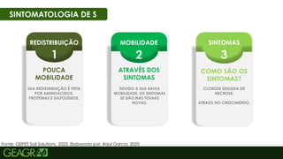 48
REDISTRIBUIÇÃO
1
MOBILIDADE
2
SINTOMAS
3
SINTOMATOLOGIA DE S
POUCA
MOBILIDADE
SUA REDISTRIBUIÇÃO É FEITA
POR AMINOÁCIDOS,
PROTEÍNAS E SULFOLÍDEOS.
ATRAVÉS DOS
SINTOMAS
DEVIDO A SUA BAIXA
MOBILIDADE, OS SINTOMAS
SE DÃO NAS FOLHAS
NOVAS.
COMO SÃO OS
SINTOMAS?
CLOROSE SEGUIDA DE
NECROSE;
ATRASO NO CRESCIMENTO.
Fonte: GEPES Soil Solutions, 2023. Elaborado por: Raul Garcia, 2025.
 