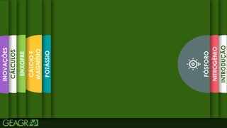 5
INTRODUÇÃO
NITROGÊNIO
FÓSFORO
POTÁSSIO
CÁLCIO
E
MAGNÉSIO
ENXOFRE
CÁLCULOS
INOVAÇÕES
 