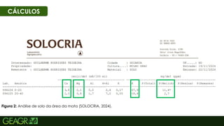 50
Figura 2: Análise de solo da área da mata (SOLOCRIA, 2024).
CÁLCULOS
 