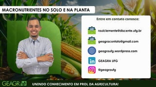 Entre em contato conosco:
UNINDO CONHECIMENTO EM PROL DA AGRICULTURA!
geagraufg.wordpress.com
geagracontato@gmail.com
GEAGRA UFG
@geagraufg
raulclemente@discente.ufg.br
MACRONUTRIENTES NO SOLO E NA PLANTA
 
