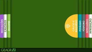 7
INTRODUÇÃO
NITROGÊNIO
FÓSFORO
POTÁSSIO
CÁLCIO
E
MAGNÉSIO
ENXOFRE
CÁLCULOS
INOVAÇÕES
 