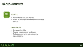 11
MACRONUTRIENTES
DEFICIÊNCIA
• Mobilidade: pouco móvel;
• Estimula o desenvolvimento das raízes e
folhas;
CÁLCIO
• Raramente vista;
• Pouco crescimento radicular;
• Raízes geralmente escurecem e
apodrecem;
 